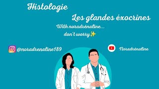 les glandes exocrines  histologie  1ère année medecine et medecine dentaire [upl. by Aikmat831]