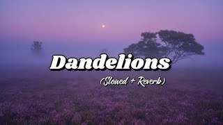 Dandelions by Ruth B Slowed  Reverb [upl. by Burnsed]