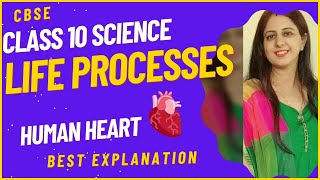 Human Heart Class 10  Class 10 Structure and working of Human Heart [upl. by Zacharie]