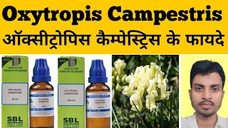 Oxytropis Campestris Oxytropis Homeopathic Medicineऑक्सीट्रोपिस themahafuzurhomeopathy [upl. by Dalt605]