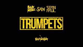 Sak Noel amp Salvi ft Sean Paul  Trumpets Official Audio [upl. by Nolyk]