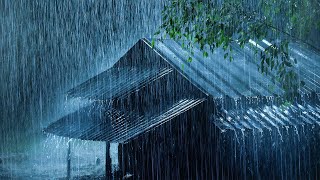 Put YOU to Sleep Instantly with Heavy Rain on Metal Roof amp Thunder Sounds  Relaxing White Noise [upl. by Namolos]