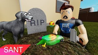 ADIOS CHIMUELO REMIX  versión roblox 😃🐦 [upl. by Wrench]