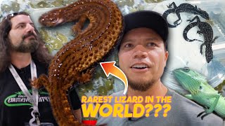 What REALLY happened at the Daytona Reptile Show  Uncut Adventure with DavKaufmansAdventures [upl. by Nirol]