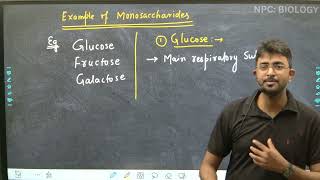 Lec12  Monosaccharides  Classification Of Carbohydrates  Biomolecule Class 11th  NEET [upl. by Rivera]