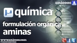 QUIMICA Organica AMINAS BACHILLERATO compuestos nitrogenados [upl. by Cowley792]