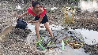 Amazing Fishing At Battambang  Beautiful Girl Fishing  How To Catch Fish By Hand SH Part 4 [upl. by Odie627]