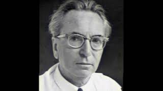 El Hombre en Busca de Sentido  La Vida y Enseñanzas de Viktor Frankl [upl. by Attena]