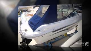 Champion allante 645 sc power boat sport boat year  2007 [upl. by Lever]