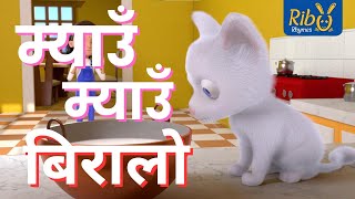 Miau Miau Biralo I म्याउँ म्याउँ बिरालो I Meow Meow Biralo I Nepali Kids Songs I Ribu Rhymes [upl. by Oilenroc]