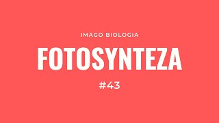 Fotosynteza [upl. by Tootsie]