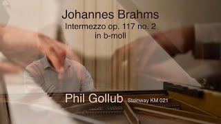 Johannes Brahms Intermezzo Op 117 No 2 in B Flat Minor  Pianist Phil Gollub Steinway KM021 [upl. by Rodrique96]