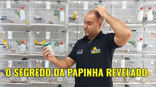 O SEGREDO DA PAPINHA REVELADO [upl. by Rasia]