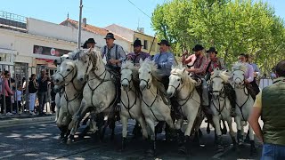 ARLES COURSE DE VACHE  FESTIVAL DABRIVADO 170422 [upl. by Oicnaneb986]