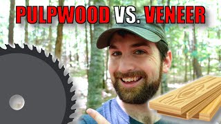 Understanding Pulpwood Sawtimber and Veneer [upl. by Assenna]