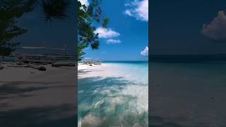 Living in a secluded Island in the Philippines travel youtubeshorts shortvideo viralshorts [upl. by Anahgem]