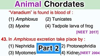 Biology mcqsChordates mcqs  Animal kingdom mcq for NEET  Part 2 [upl. by Brandise]