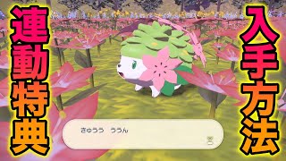 【幻ポケモン】剣盾連動特典のシェイミの入手方法も簡単すぎたww【ポケモンレジェンズアルセウス】 [upl. by Eelarak]