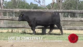 LOT 020  CSW22T617 [upl. by Korwun]