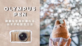 綺麗に撮れる！簡単設定方法！オリンパスペン  OLYMPUS PEN EPL9・10 [upl. by Carmon]