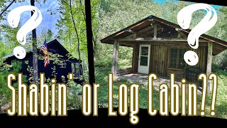 Are We MOVING to a Log Cabin Mice amp a Woodstove [upl. by Anhsirk97]