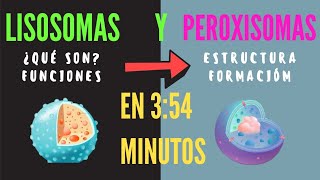 ¿qué son los lisosomas y peroxisomas Estructura y funciones de lisosomas y peroxisomas FÁCIL 2020 [upl. by Genovera]