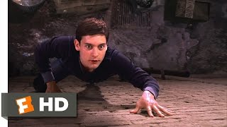 SpiderMan Movie 2002  Peters New Powers Scene 210  Movieclips [upl. by Eniamrehc69]