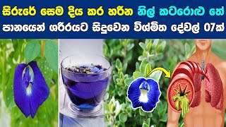 නිල් කටරොළු තේ පානයෙන් ශරීරයට සිදුවෙන විශ්මිත දේවල් 07ක්  07 Health Benefits of Nil Katarolu [upl. by Johnny980]