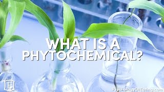 What is a Phytochemical  with Marc David [upl. by Nnylarak]