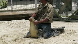 2018 Return to Gatorland  Gator Wrestling [upl. by Nilecoj]