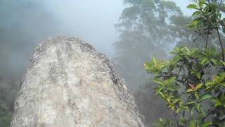 Dolphin Nose  Kodaikanal [upl. by Atires37]