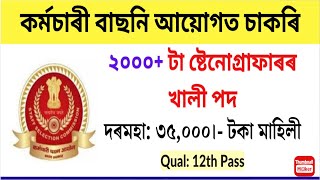 SSC Stenographer Recruitment 2024  Apply Online for 2000 Vacancy 12th Pass may Apply [upl. by Ryhpez]