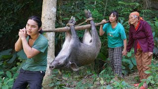 detecting wild boars making traps to catch them and raise them farm life SURVIVAL ALONE [upl. by Anrym]