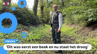 Boswachter Droogte heeft grote gevolgen voor de natuur [upl. by Dnomsed]