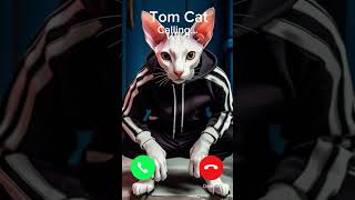 Hey Babe 😉 Your EX calling You at 3am 🤣 catlover cutecat [upl. by Girvin737]