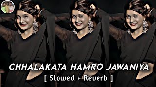 Chhalakata Hamro Jawaniya SlowedReverb Song  Bhojpuri Raja Super Hit Slowed Bhojpuri Song [upl. by Nylknarf222]