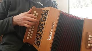 Lisheen Accordions wood CD [upl. by Adnocahs]