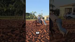 Voladores de Papantla 🤠🐴 ranchlife tradicion viral [upl. by Etezzil]