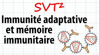 Immunité adaptative et mémoire immunitaire SVT²révisions BAC [upl. by Rennoc]