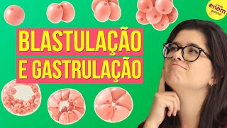 EMBRIOLOGIA BLASTULAÇÃO E GASTRULAÇÃO  Resumo de Biologia para o Enem [upl. by Dleifyar871]