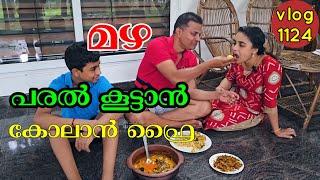 മഴ പരല് കൂട്ടാൻ കോലാൻ വറുത്തത്Family vlog Fish curry Fish fry AJUS WORLD [upl. by Etnomed]