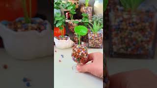 How to planting flowers in cup very beautiful garden flowers garden plants flower diy [upl. by Marci]