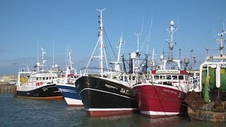 Emydex Fish Processing and Traceability Software Live OnBoard Clogherhead Fishing Vessels [upl. by Orthman162]