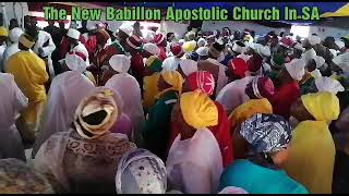 Mona thokolosi e ya baleya This church is Powerful Babillon ha Dr Phofedi [upl. by Zacharias]