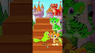 Tiger amp Tuni 🐯🐯🐯🐯🐯🐦🐦🐦🐦cartoon tuntuni shortsvideo [upl. by Airetas817]