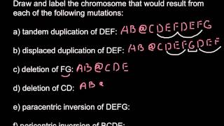 Types of chromosomal mutations [upl. by Oigaib]