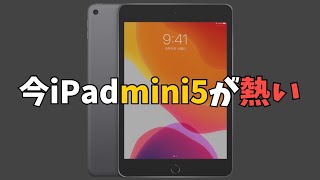 【iPad mini 5】いまさらiPad mini 5の良さを伝える動画、今だからこそiPad mini5が熱い！ [upl. by Diet]