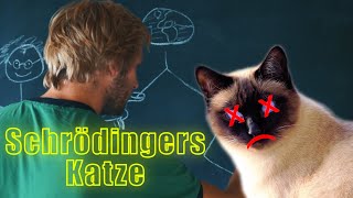 Schrödingers Katze  Vielen Welten Theorie [upl. by Coughlin]