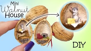 Miniature Dollhouse In A Walnut Tutorial  DIY Mouse House [upl. by Cohleen153]