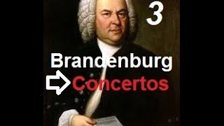 Concerto Brandebourgeois NÂ°2  Andante  Bach [upl. by Hodess]